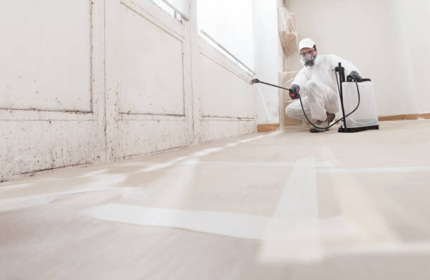24/7 Emergency Mold Removal experts in Zeeland, MI
